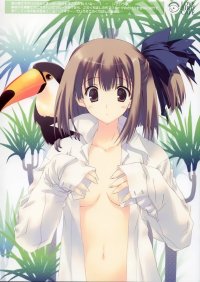 BUY NEW naru nanao - 82496 Premium Anime Print Poster